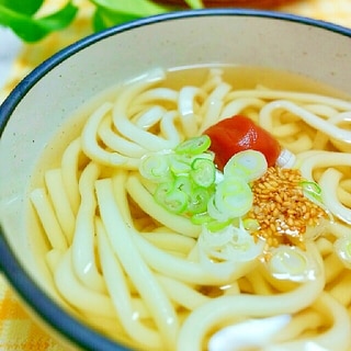 すっぱ旨い♪梅干し入りの温かいうどん